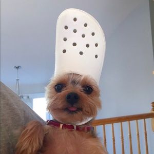 Meet your Posher, Bryant